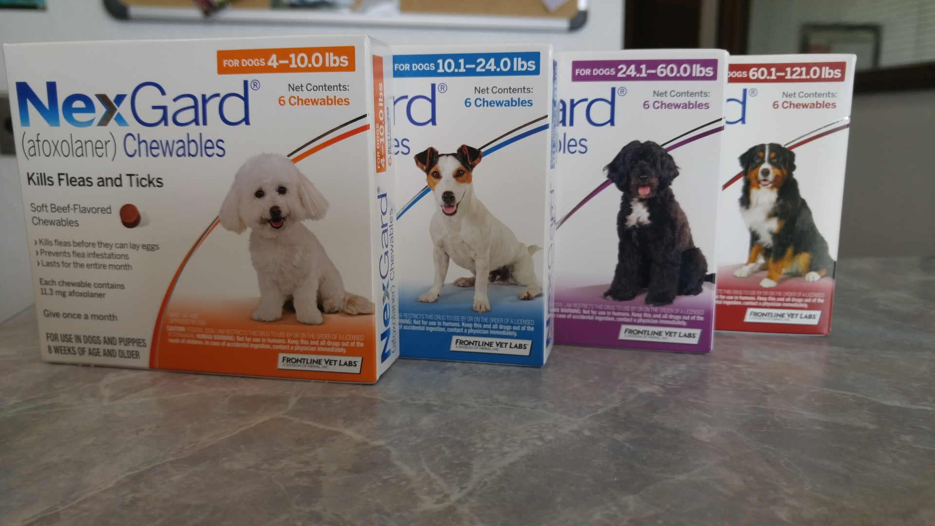 Veterinary Services in Milton, WA Dill Animal Hospital